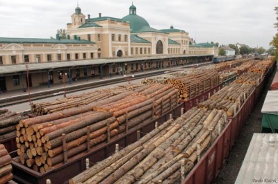 Вивозити ліс до Румунії залізницею заборонили