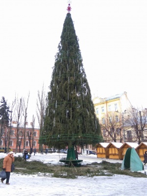 У Чернівцях почали прикрашати головну ялинку міста (ФОТО)