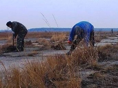 Грядочка на аеродромі та міністр-«гопник»