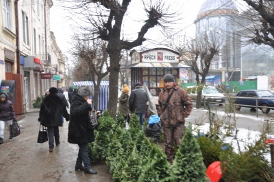 На чернівецьких ринках з’явилися перші ялинки (ФОТО)