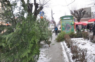 На чернівецьких ринках з’явилися перші ялинки (ФОТО)