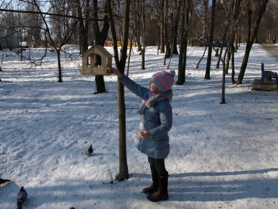 «Постійно маю в сумці зерно»: чернівчанка розповіла про свою традицію годувати птахів у парках (ФОТО)