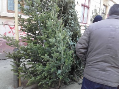 На ринках Чернівців - раптовий дефіцит ялинок (ФОТО)