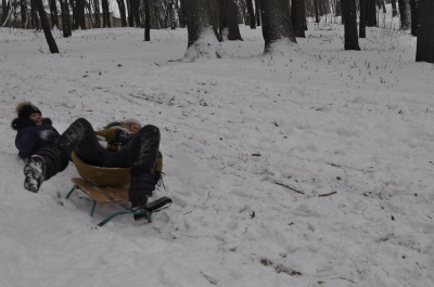 Малі та великі чернівчани каталися у парку Шіллера на санках (ФОТО)