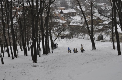 Малі та великі чернівчани каталися у парку Шіллера на санках (ФОТО)