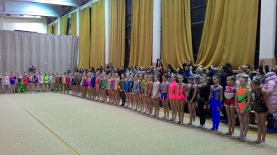 Понад 100 юних гімнасток взяли участь у чемпіонаті області
