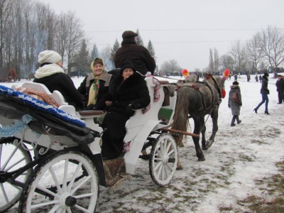 Ведмеді з очерету і народні музики: виступи аматорів у музеї просто неба дивилися тисячі чернівчан