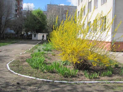 У шкільному дендропарку в Чернівцях зацвіли квіти та дерева (ФОТО)