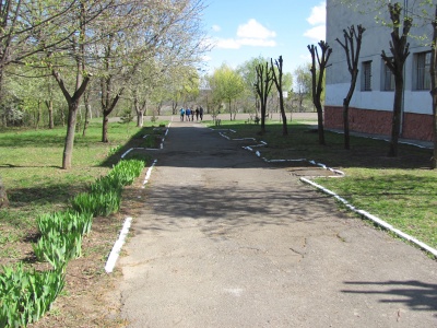 У шкільному дендропарку в Чернівцях зацвіли квіти та дерева (ФОТО)