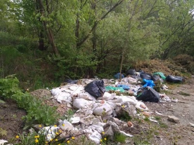 Понад дві сотні волонтерів прибирали Чернівці від сміття (ФОТО)