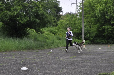 Недільна прогулянка. У Чернівцях відбулися змагання з бігу із собаками (ФОТО)