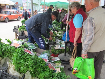 У Чернівцях продавці ринків розповіли про «скажений» попит на саджанці й розсаду