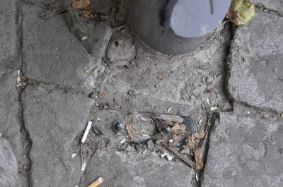 "Просто немає слів": у Чернівцях пошкодили веломайстерню, встановлену місяць тому (ФОТО)