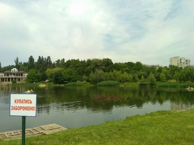 Мама з татом дозволили. У Чернівцях, попри заборону, діти купаються в озері біля парку «Жовтневого»