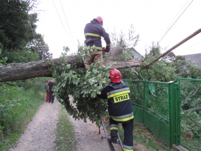 Зірвані дахи будинків і повалені дерева: рятувальники показали наслідки негоди на Буковині (ФОТО)