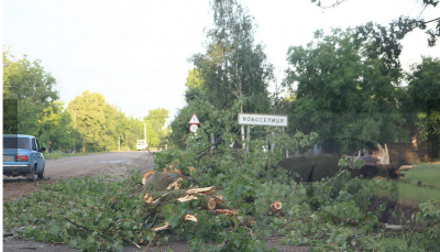 Буревій знеструмив цілий район Буковини - перекрито проїзди, пошкоджено дахи