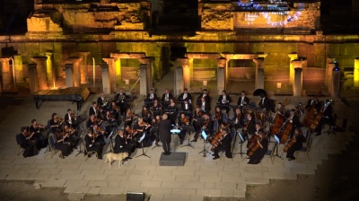 Собака ледь не зірвав виступ Віденського камерного оркестру