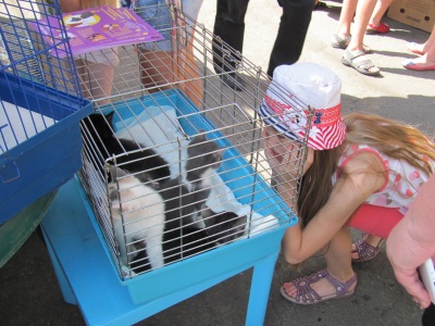 На Петрівському ярмарку можна взяти цуценя або кішечку (ФОТО)