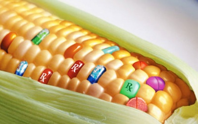 У Євросоюзі дозволили використовувати 5 ГМО-культур