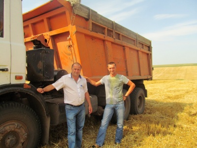 Жнива на Буковині: на Кіцманщині аграрії намолочують 100 центнерів зерна з одного гектара
