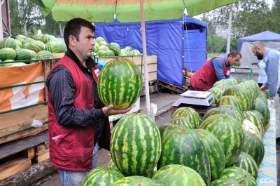 Фермери розповіли, коли у Чернівцях подешевшають кавуни