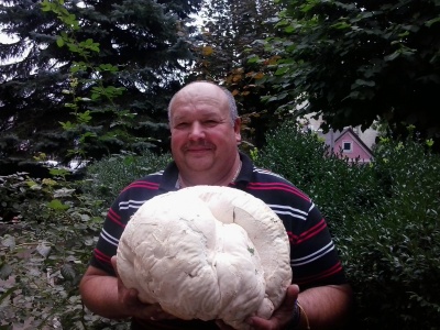 Двокілограмового гриба знайшов на Буковині лісівник
