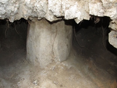 Біля Дністра на Буковині археологи знайшли поховання немовляти 4 століття (ФОТО)