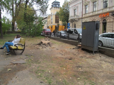 У сквері на Соборній площі у Чернівцях позрізали старі аварійні дерева (ФОТО)