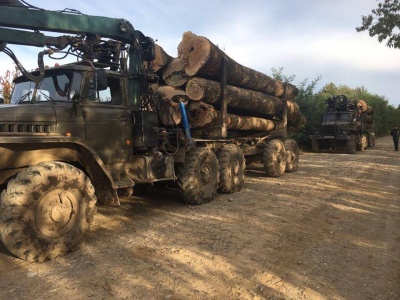 У Чернівецькій області співробітники СБУ затримали два лісовози, які перевозили деревину без документів