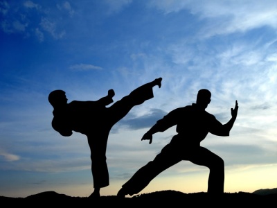 У чемпіонаті Буковини з карате зустрілися понад 400 спортсменів