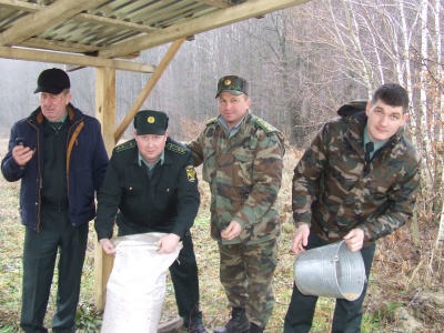 Лісівники та школярі на Буковині підгодували диких тварин
