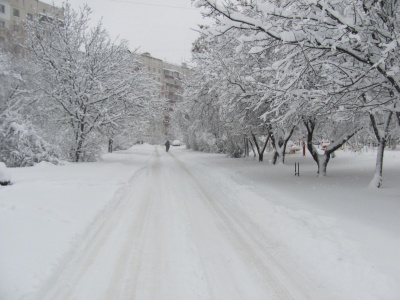 У Чернівецькій області випала рекордна кількість снігу (ФОТО)