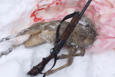 У Чернівцях лісівники та поліція затримали браконьєра, який вбив козулю