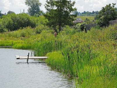 На Буковині вже дві доби розшукують чоловіка, який зник біля ставка