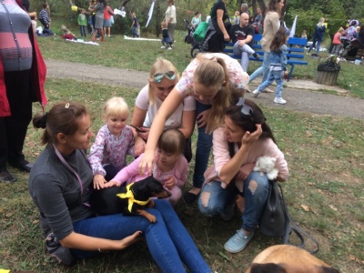 У Чернівцях вдруге проведуть арт-пікнік із собаками