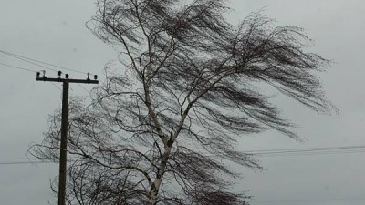 Штормове попередження: на Буковині упродовж кількох днів прогнозують сильний вітер