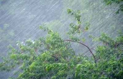 На Буковину насувається хвиля злив із грозами: з’явився свіжий прогноз