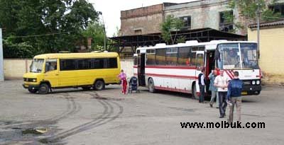 ДАІ перевірить всі автобуси