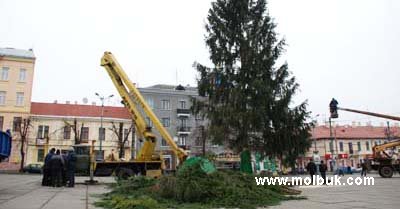 Головну ялинку будуть прикрашати у борг