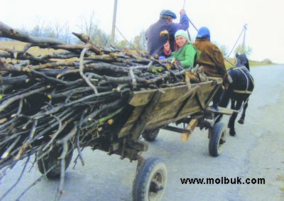 Плити не варять, котли не гріють