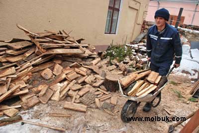 Дешеві дрова – замість дорогого газу