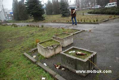 Алею до 600-річчя міста розікрали і засмітили