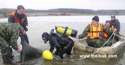 Водолази показали, як уміють піднімати потопельників