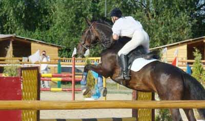 Перший чемпіонат із кінного спорту виграла буковинка