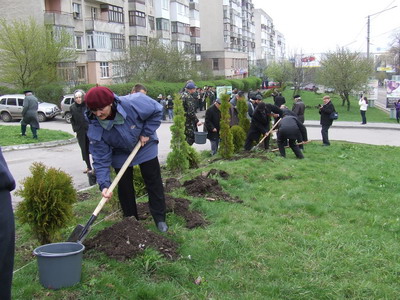 У місті Чернівці з’явилася алея ветеранів