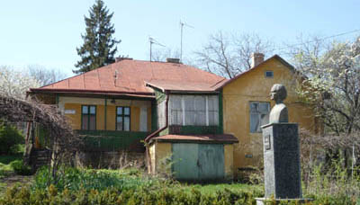 Музей Міхая Емінеску має експонати, але не дочекається ремонту