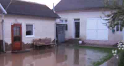 Буревій та зливи завдали шкоди у п’ятьох районах області