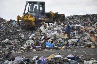 Тонни квітів  розчавили трактором