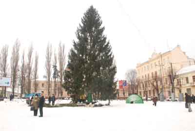 На ялинку в Чернівцях повісять два з половиною кілометра гірлянд