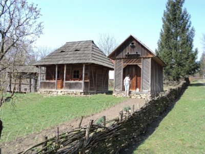 Синій кит із цимбалами та поїздка до кума